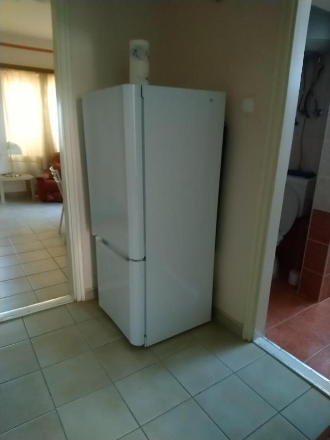 Edina-Haz Villa Balatonboglar Bagian luar foto